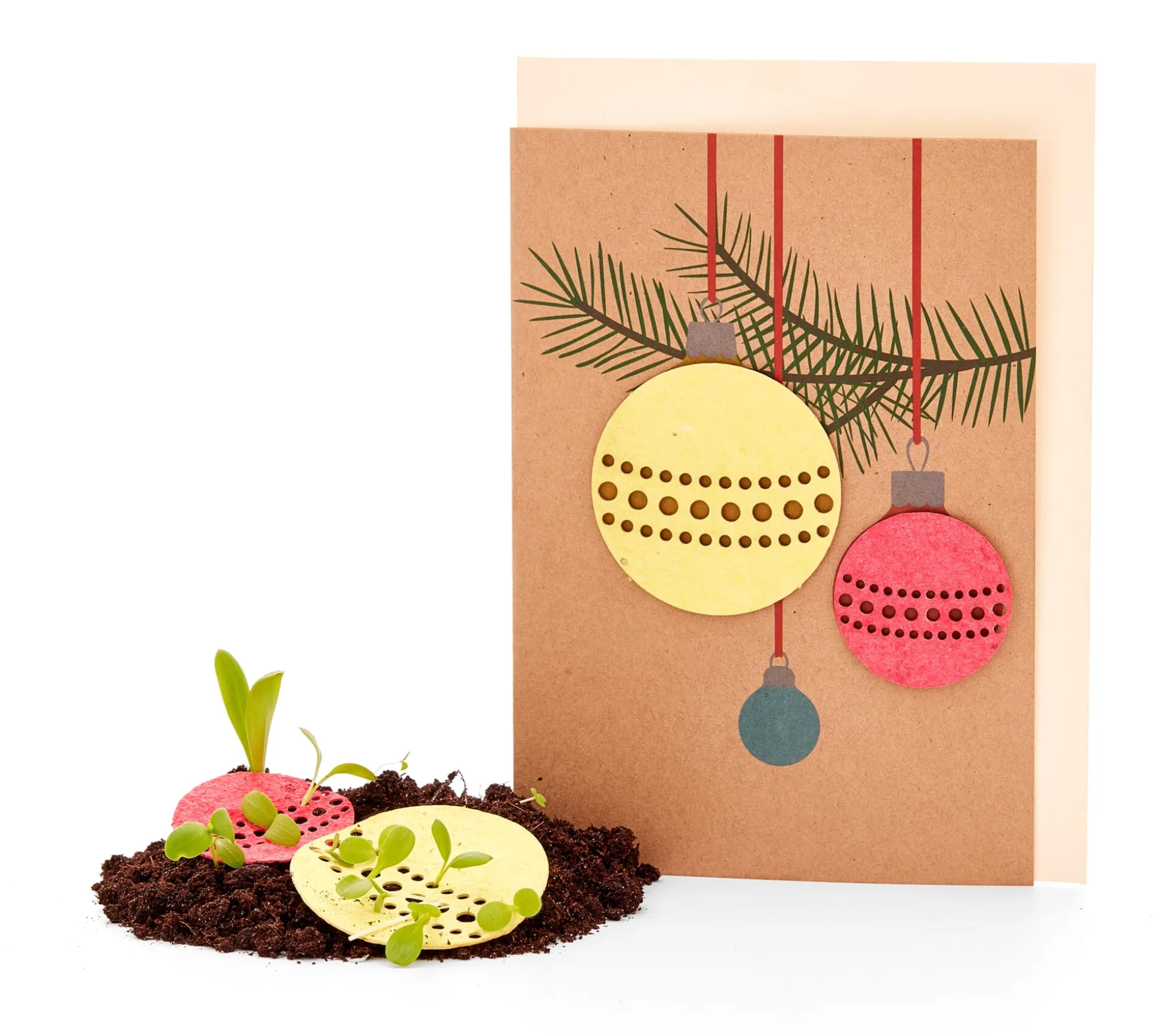 Weihnachtskarten mit Wildblumensamen
