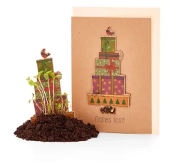 Weihnachtskarten mit Wildblumensamen
