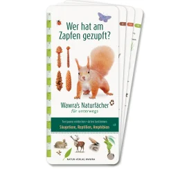 Wer hat am Zapfen gezupft?