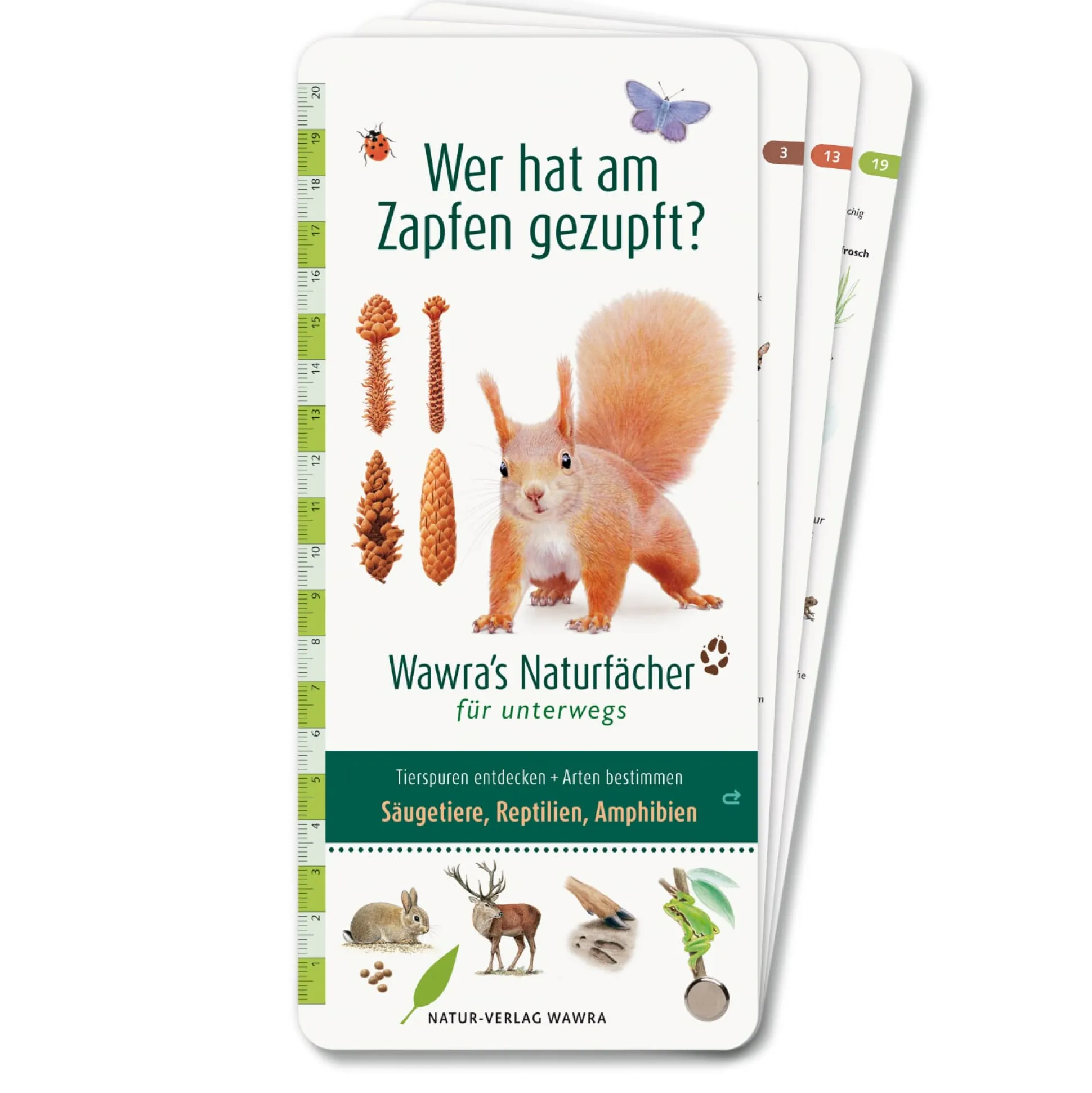 Wer hat am Zapfen gezupft?