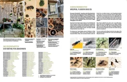 Wildbienenhelfer
