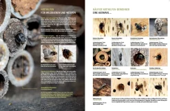 Wildbienenhelfer