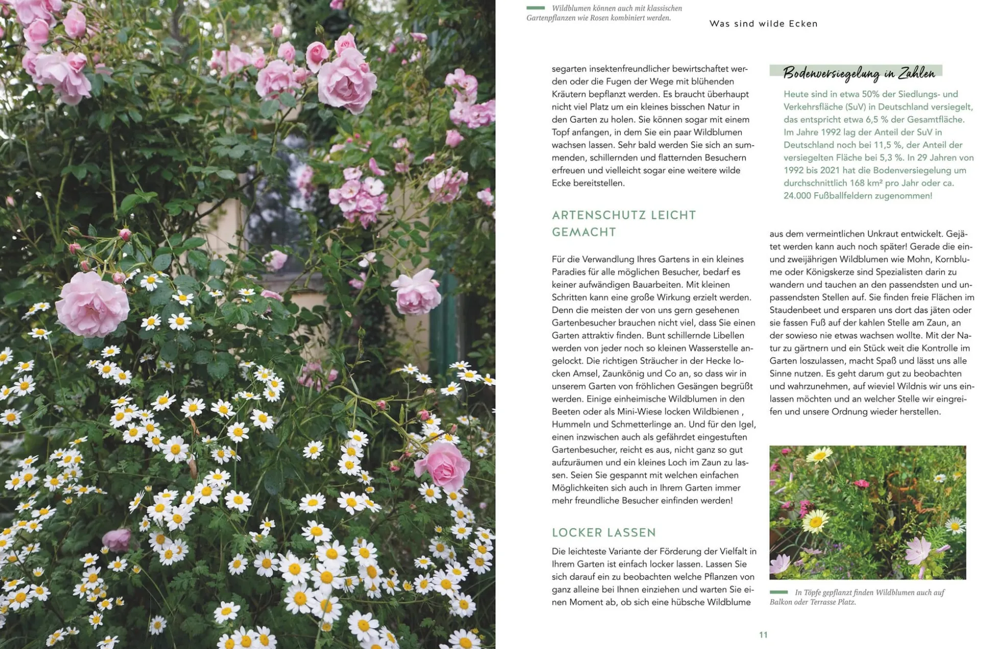 Wilde Ecken für jeden Garten