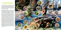 Wilde Ecken und Totholz im Garten